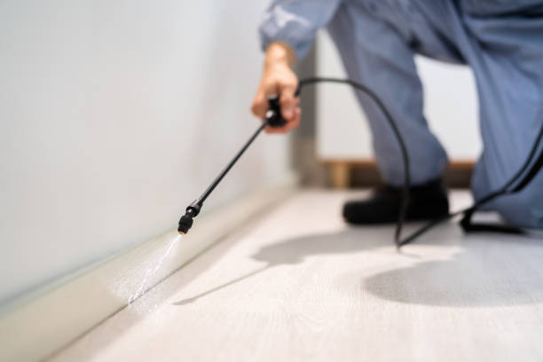 Bed Bug Pre-Treatment Preparation Assessment in Baraga