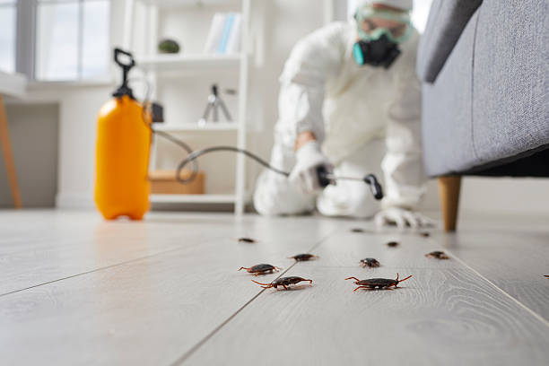 Post-Treatment Bed Bug Interceptor Monitoring in Baraga
