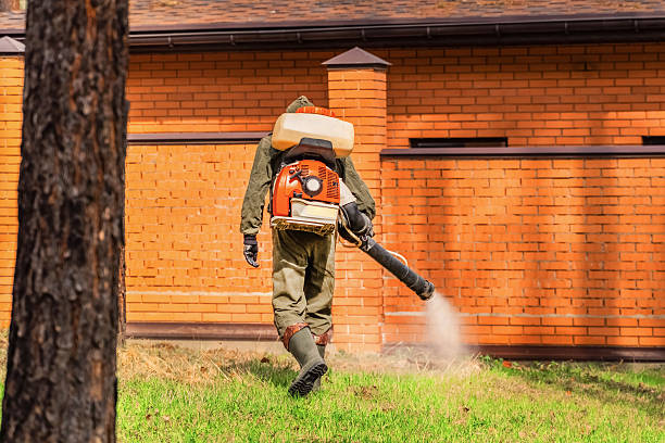 Bed Bug Clearance Verification and Documentation in Baraga